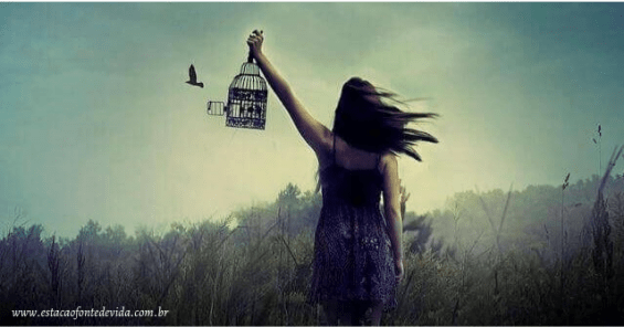 Solitute - Encontre a paz e a felicidade em seu interior